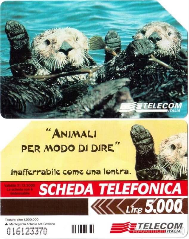 Foto 5 12 schede telefoniche usate da collezione