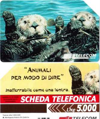 Foto 5 12 schede telefoniche usate da collezione