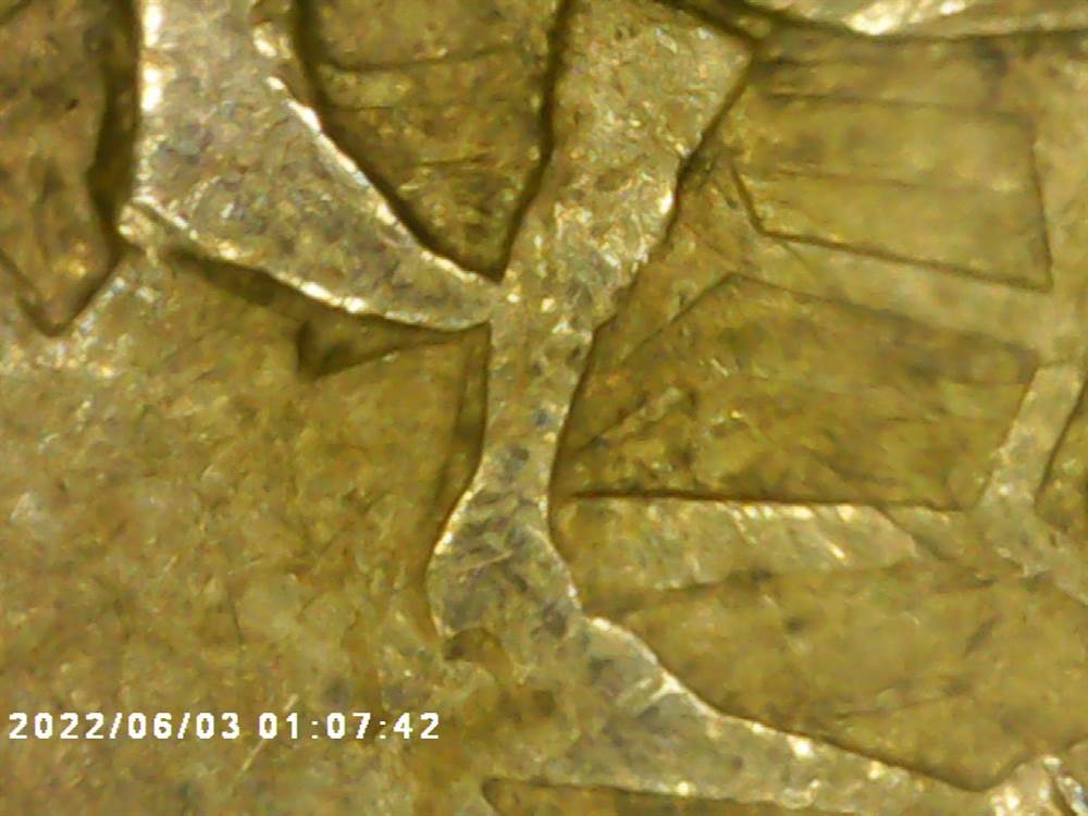 Foto 4Moneta 2002