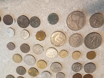 Foto - 11