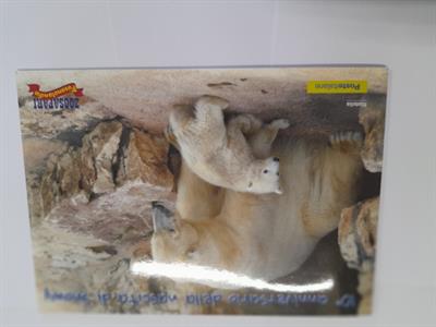 SNOWI - Folder nuovo DECIMO ANNIVERSARIO DELLA