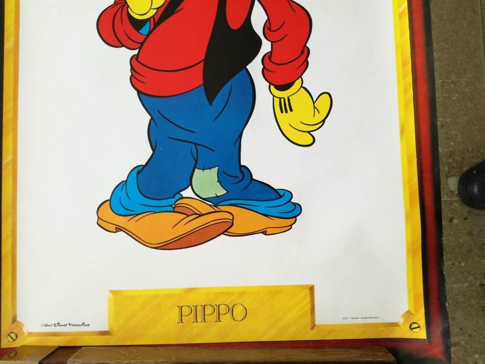 Foto 3POSTER PIPPO