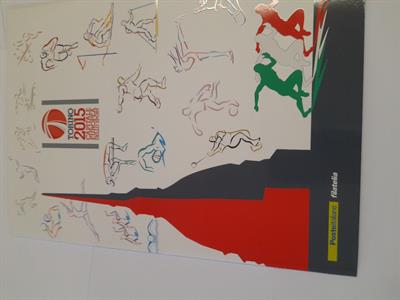 Torino Capitale Europea Dello Sport