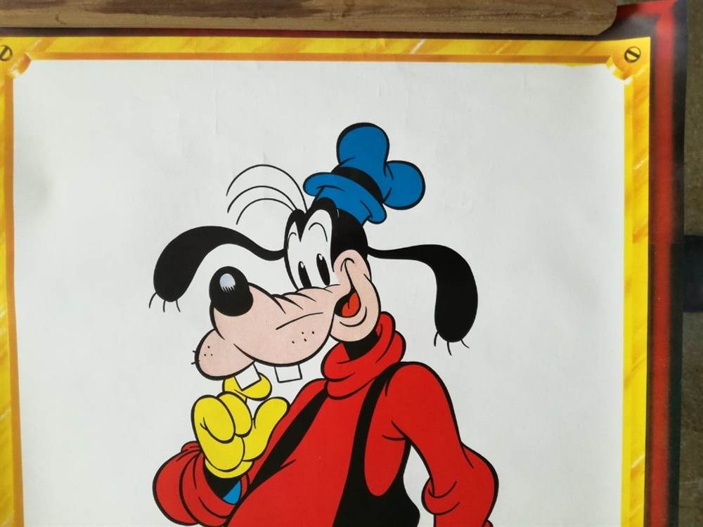 Foto 2POSTER PIPPO