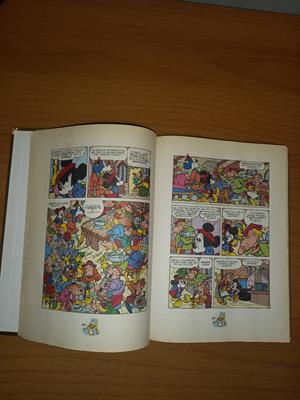 Il papero da vinci, in ottime condizioni - Foto 4