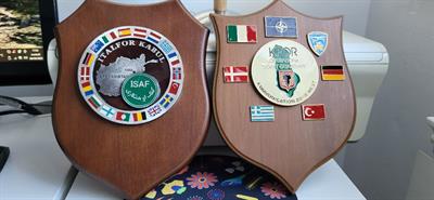 Crest militari di corpi internazionali.