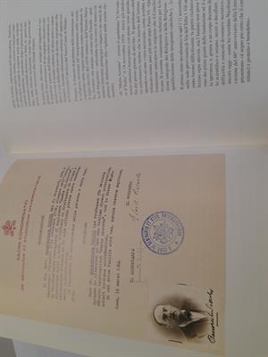 Foto - 8