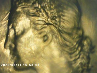 Foto - 11